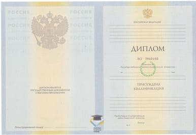 Диплом РГППУ 2010-2011 годов